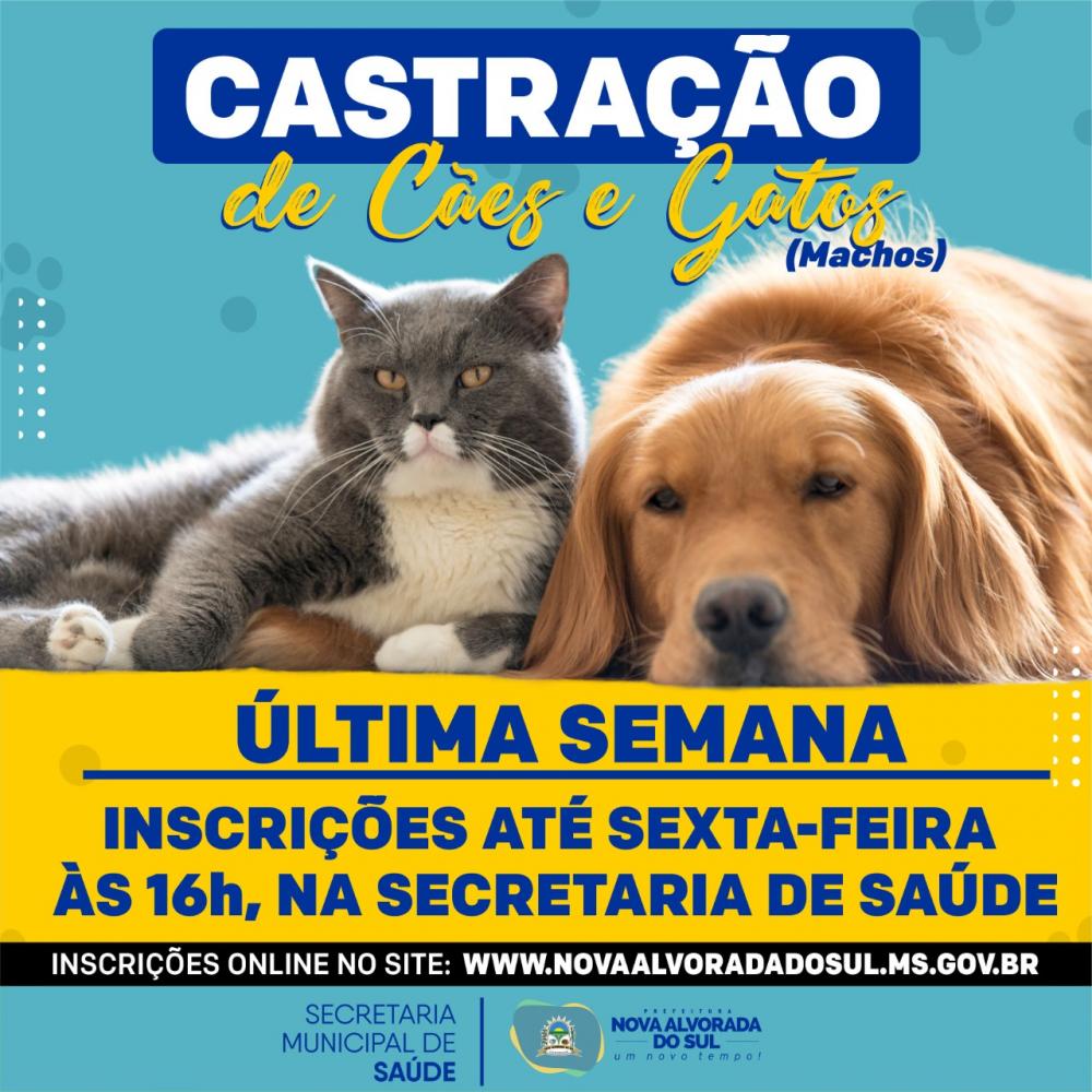 Cadastro para castração gratuita de cães e gatos encerra nesta sexta-feira (18), em Nova Alvorada do Sul