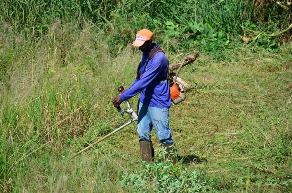 Mato alto incomoda e prefeitura intensifica fiscalização a terrenos baldios e abandonados