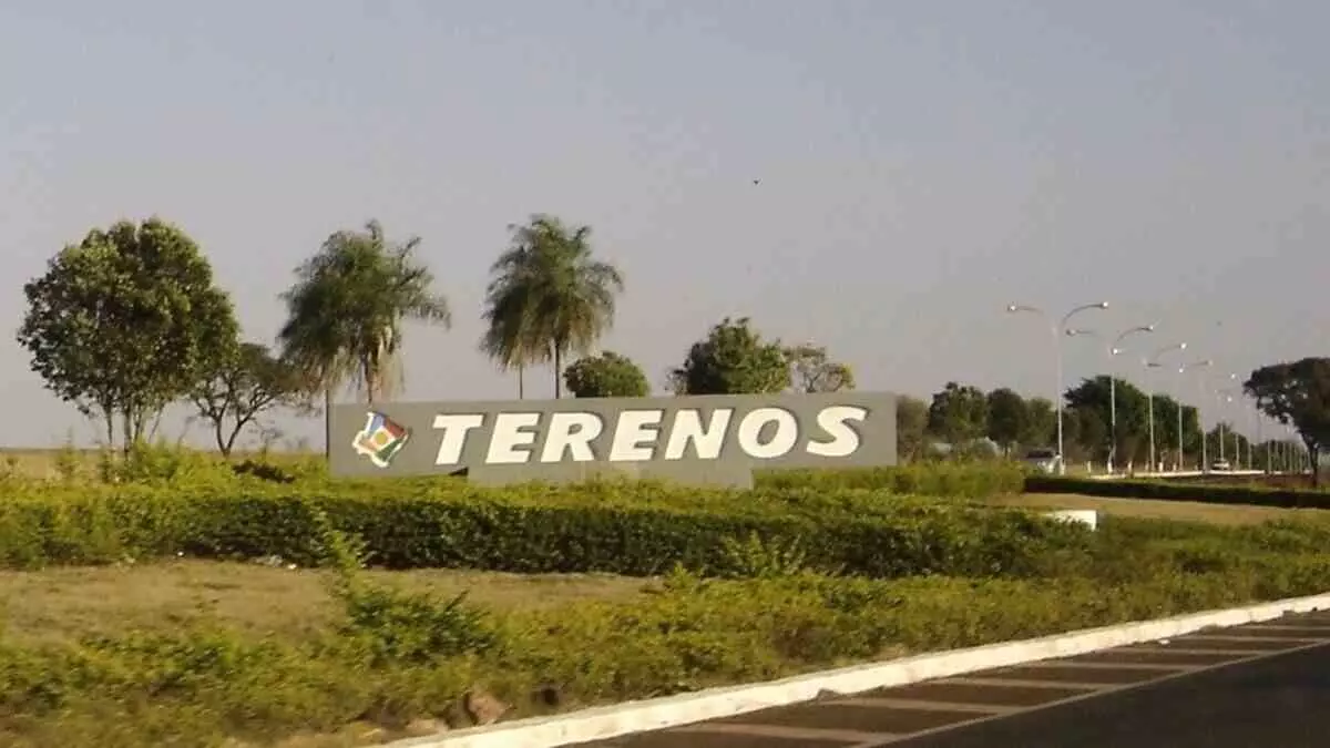 Terenos pode gastar R$ 1,5 milhão em papel sulfite em 12 meses